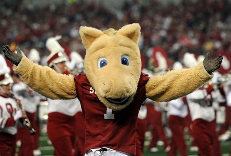 The Unique Role of a Live Mascot: How Boomer and Sooner Bring Spirit to Oklahoma Football